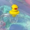 Shop Burning Love Duck Carb Cap Accessories 1 Shop Burning Love Duck Carb Cap Accessories