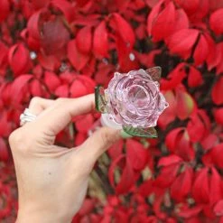 Burning Love Rosie, The Bong