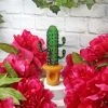 Burning Love Saguaro Cactus Pipe
