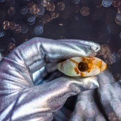 Burning Love Moon Rocks Roach Stones