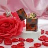 Burning Love Tortoise Lighter Lighters